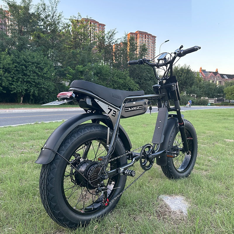 Electric Bike