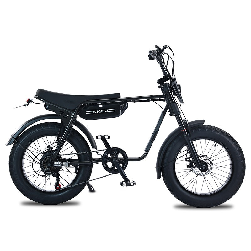 Electric Bike