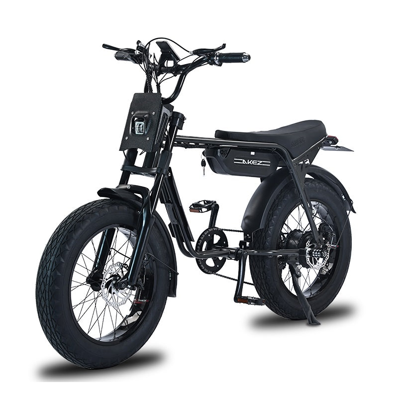Electric Bike